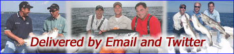 Email Fishing Reports