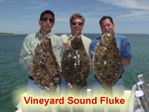 Webcast-Fluke
