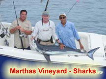 Webcast_Sharks