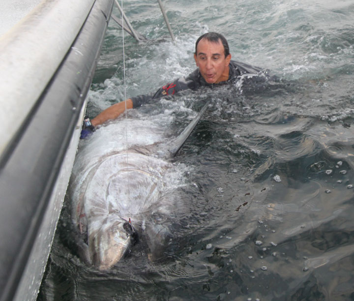 900lb Giant Bluefin Tuna
