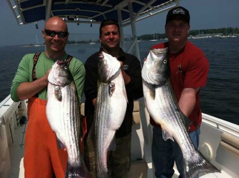 Steve, Nick, and George