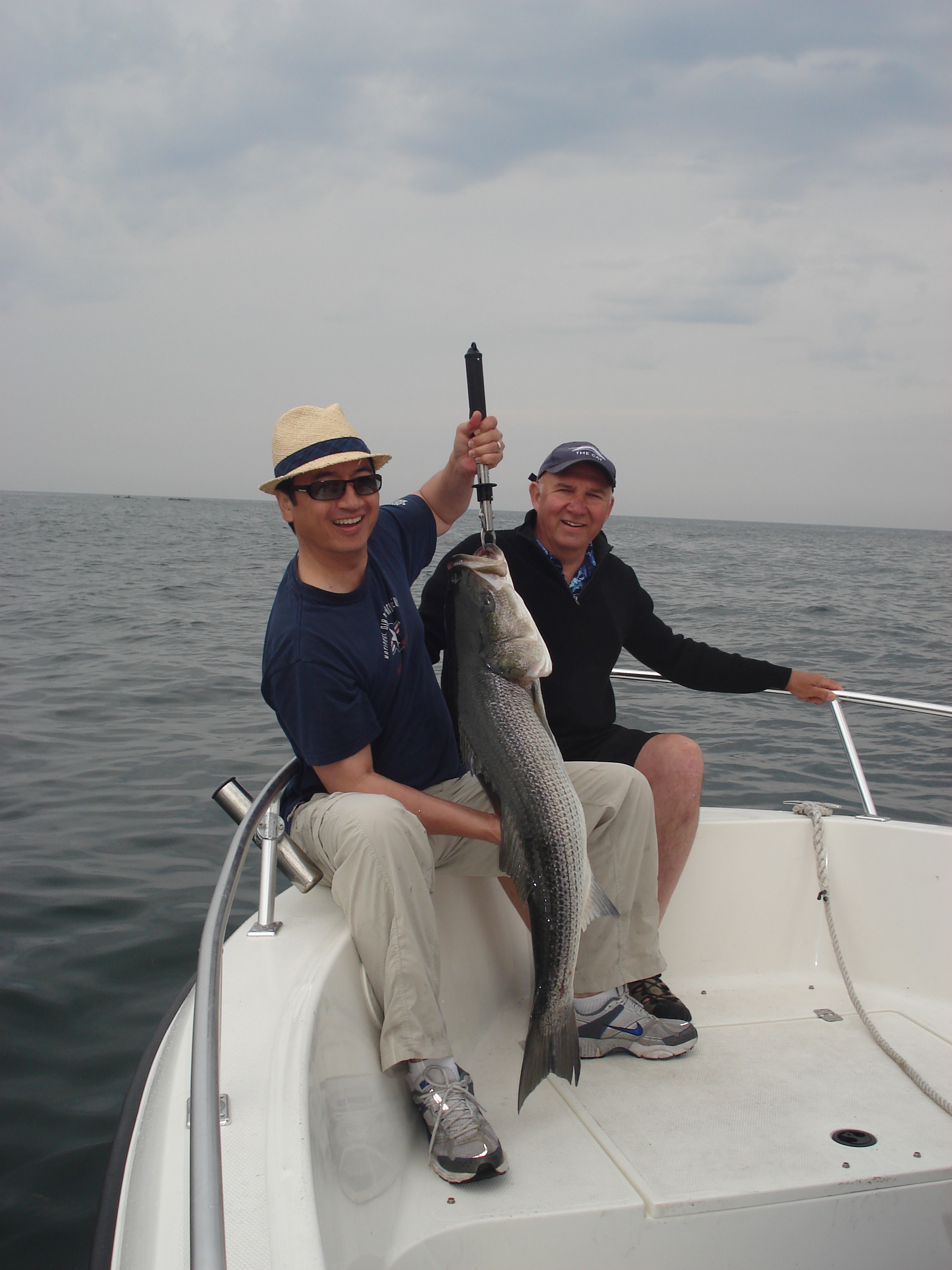 Maine Fishing Report Mackerel, Stripers and Tuna, Oh My!