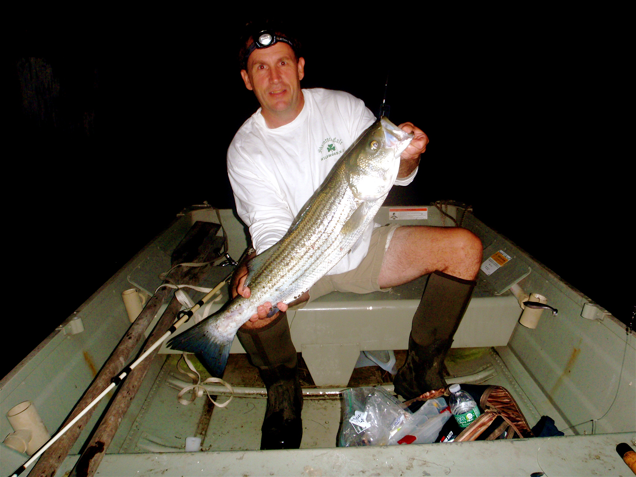 Cape May Fishing Report Back Bay Stripers
