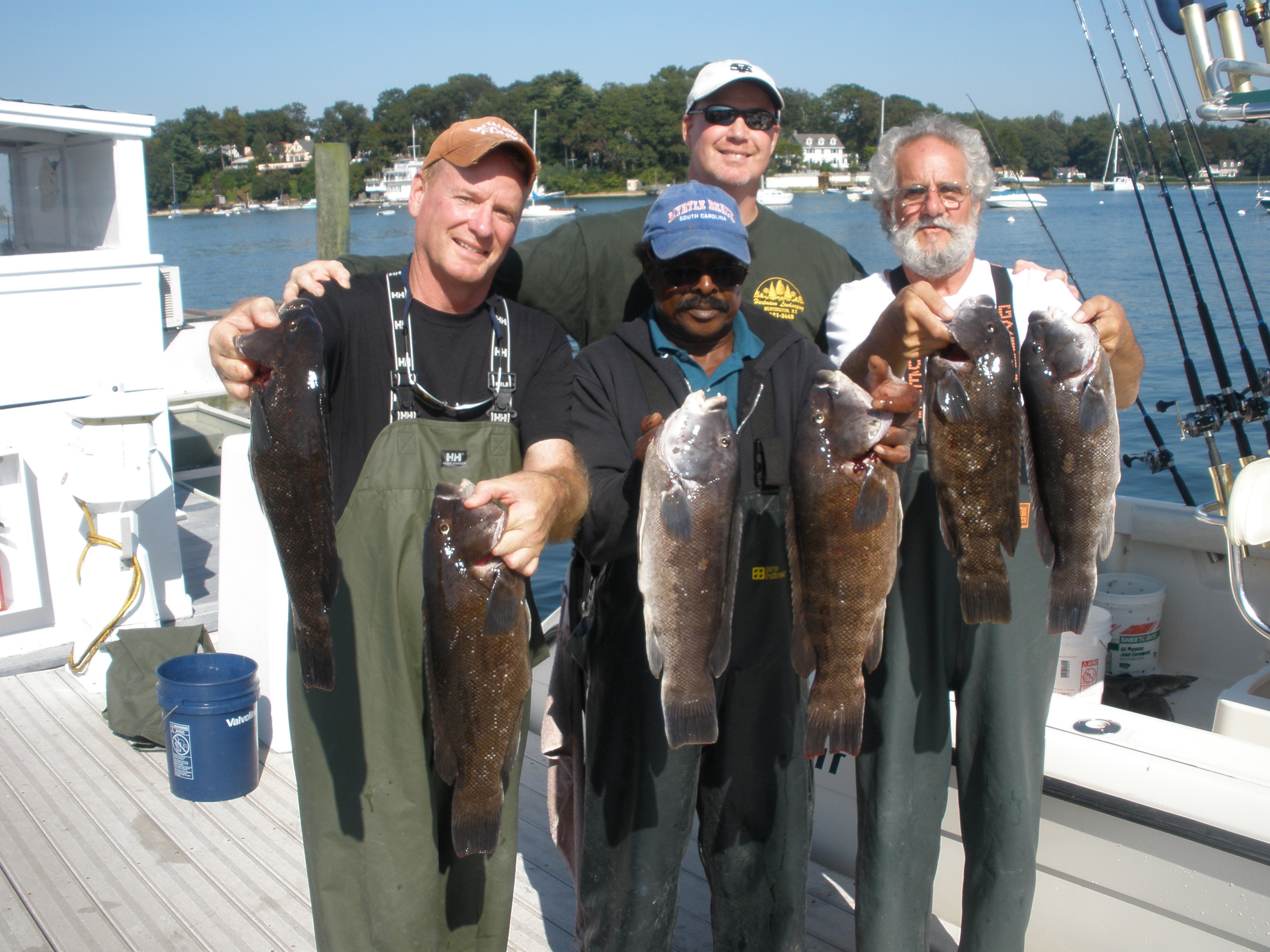 Blackfish Season 2012 Starts Today 10/5/12 « Free Fishing Reports