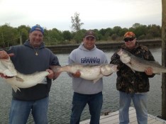 Tom, Anthony and Greg with some nice Bass