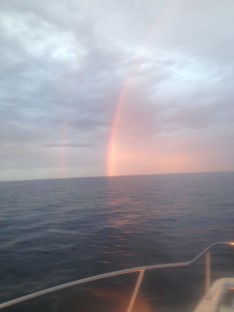 the Rainbow that started the Action !!!