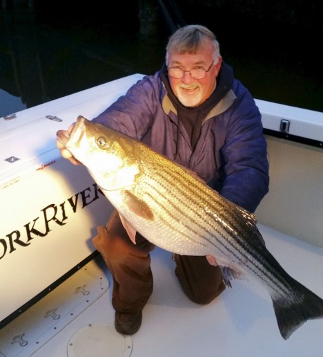 Eastner Shore - Western Side Fishing Report | VA Chesapeake Bay Striper ...