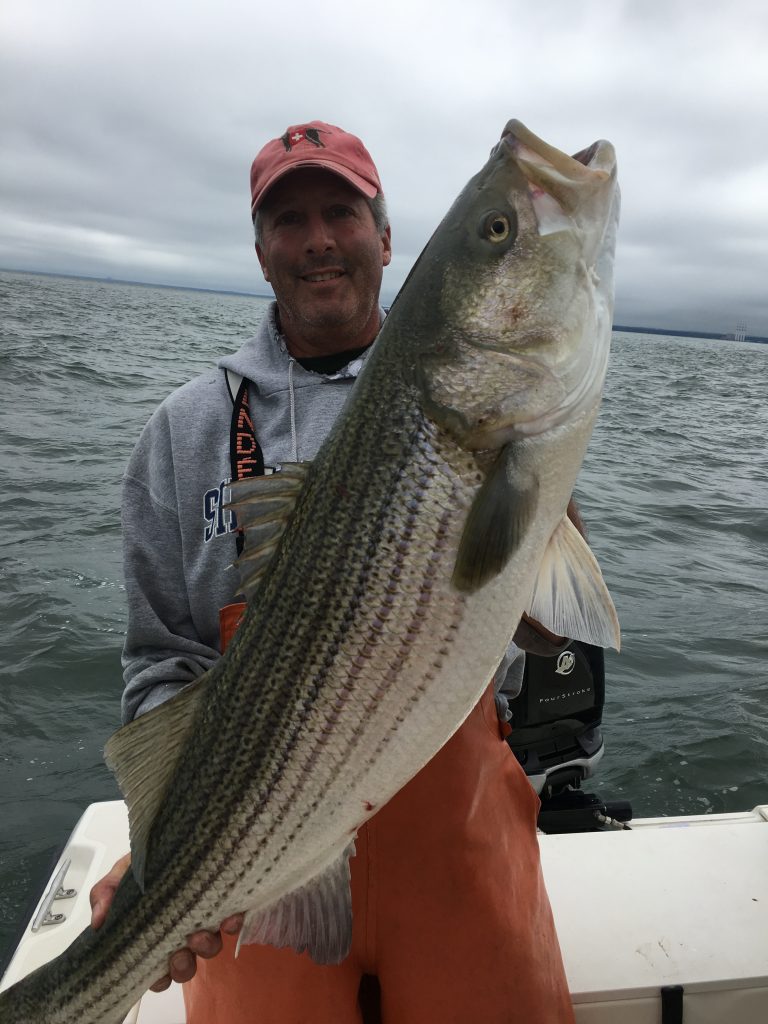 New York Fishing Report | September Bass,Bass,Bass