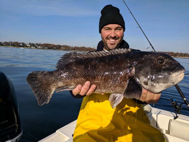 New York Fishing Report Clayton Bangs his Trophy Tog!